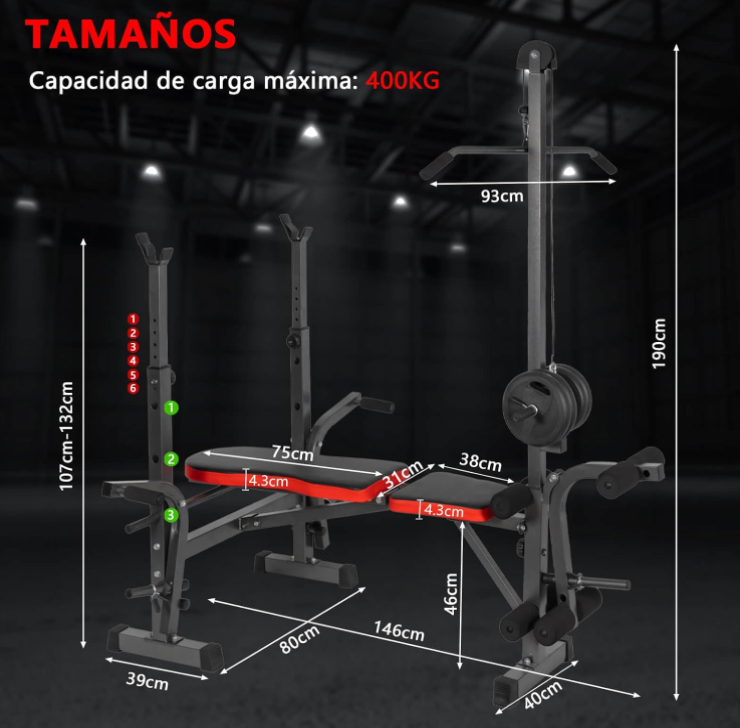 Banco abdominal ajustable y plegable con soporte de pesas - Musculación, Pec Fly, Squat, Barra de polea opcional, Envío desde España