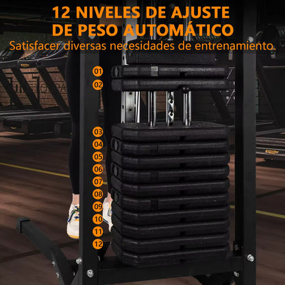Máquina de Musculación Multiestación Musculación,Maquina Multifuncion Musculacion para Estación de dominadas con Pesas,Maquina Gimnasio para Fitness Gimnasio en Casa, Ejercitar Parte Superior Cuerpo